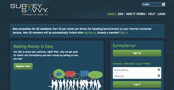 Can You Earn A Living By Promoting Paid Surveys Online - survey savvy example site